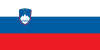 Conference Call met deelnemers uit Slovenië